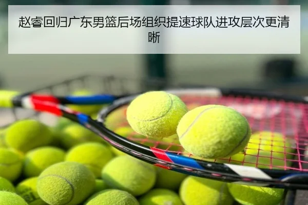 赵睿回归广东男篮后场组织提速球队进攻层次更清晰